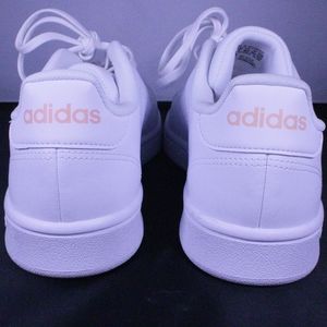 Brand New Adidas Advantage Based Shoes